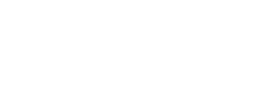 EMS logo